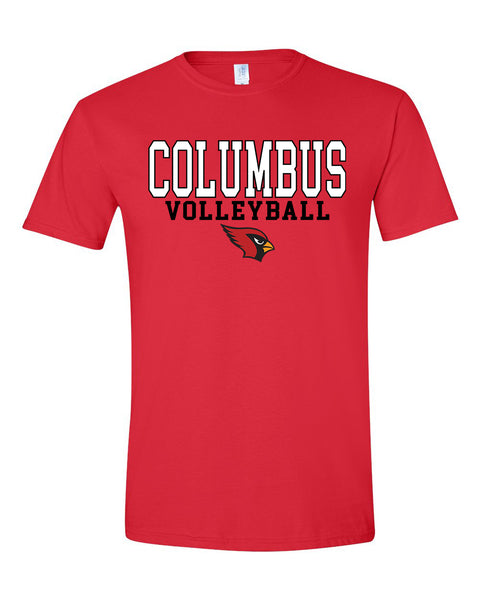 2024 Lady Cards Volleyball Triblend Shirt