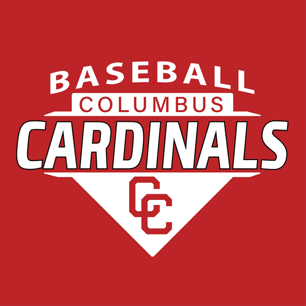 2023 Columbus Baseball Triblend Playoff Shirt