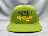 Blame It All On My Roots Richardson 169 Hat