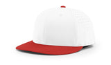 Richards PTS30 Snapback CC Hat