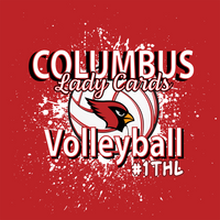 2023 Columbus Volleyball Triblend Shirt